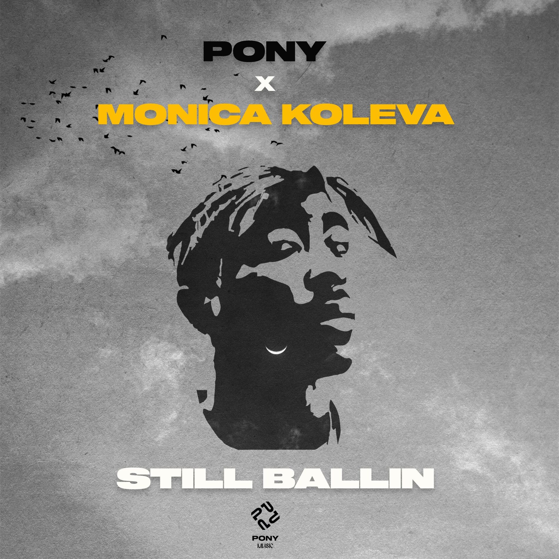 PONY