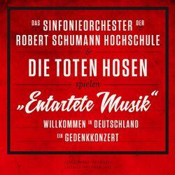 Picture of Das Sinfonieorchester der Robert Schumann Schule