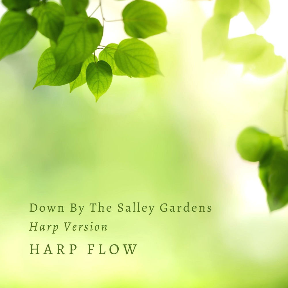 Harp Flow