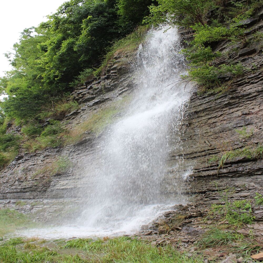 Picture of Waterfall Library
