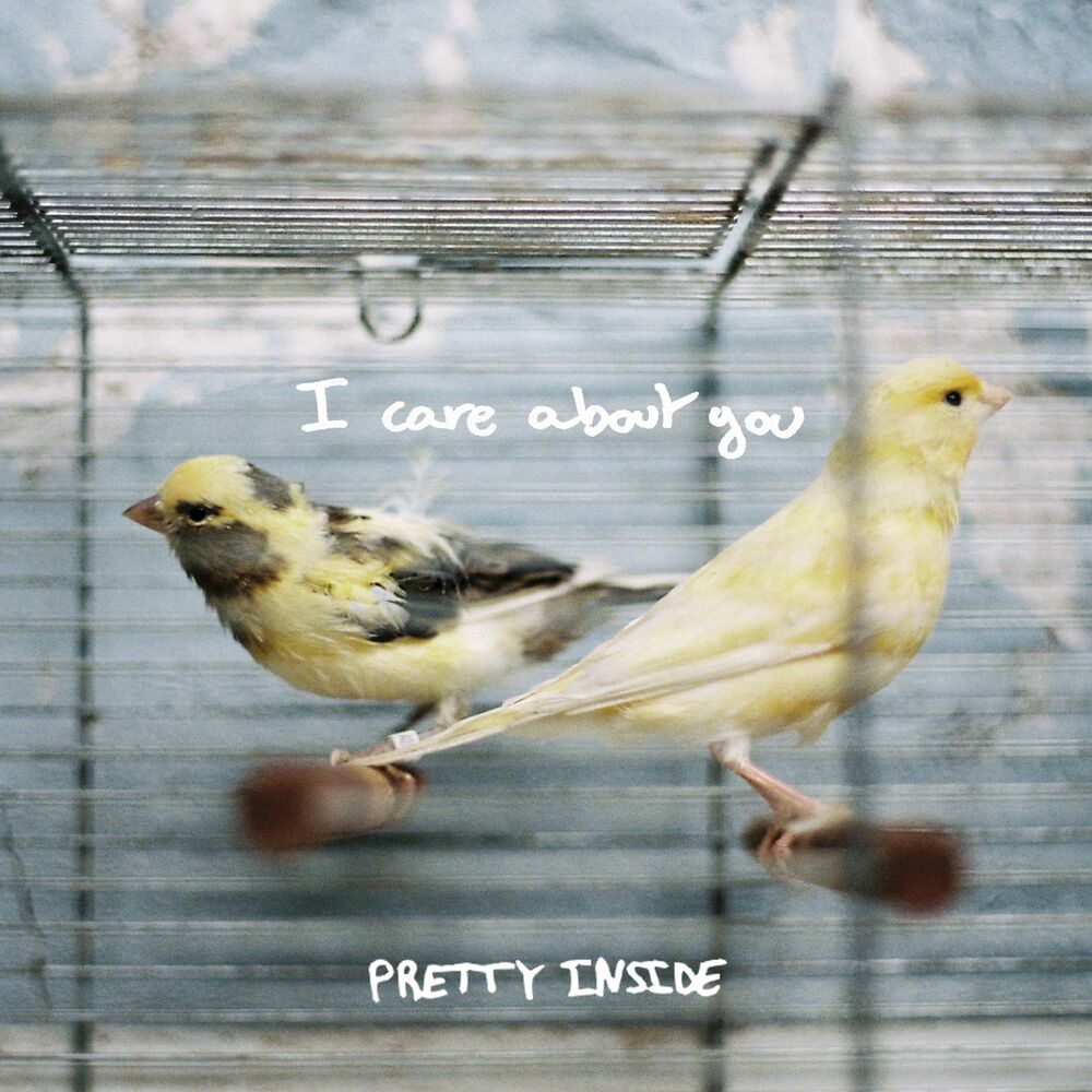 Picture of Pretty Inside