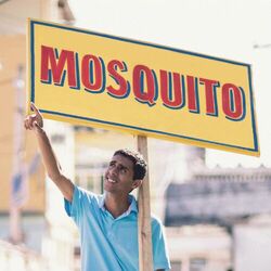 Picture of Mosquito