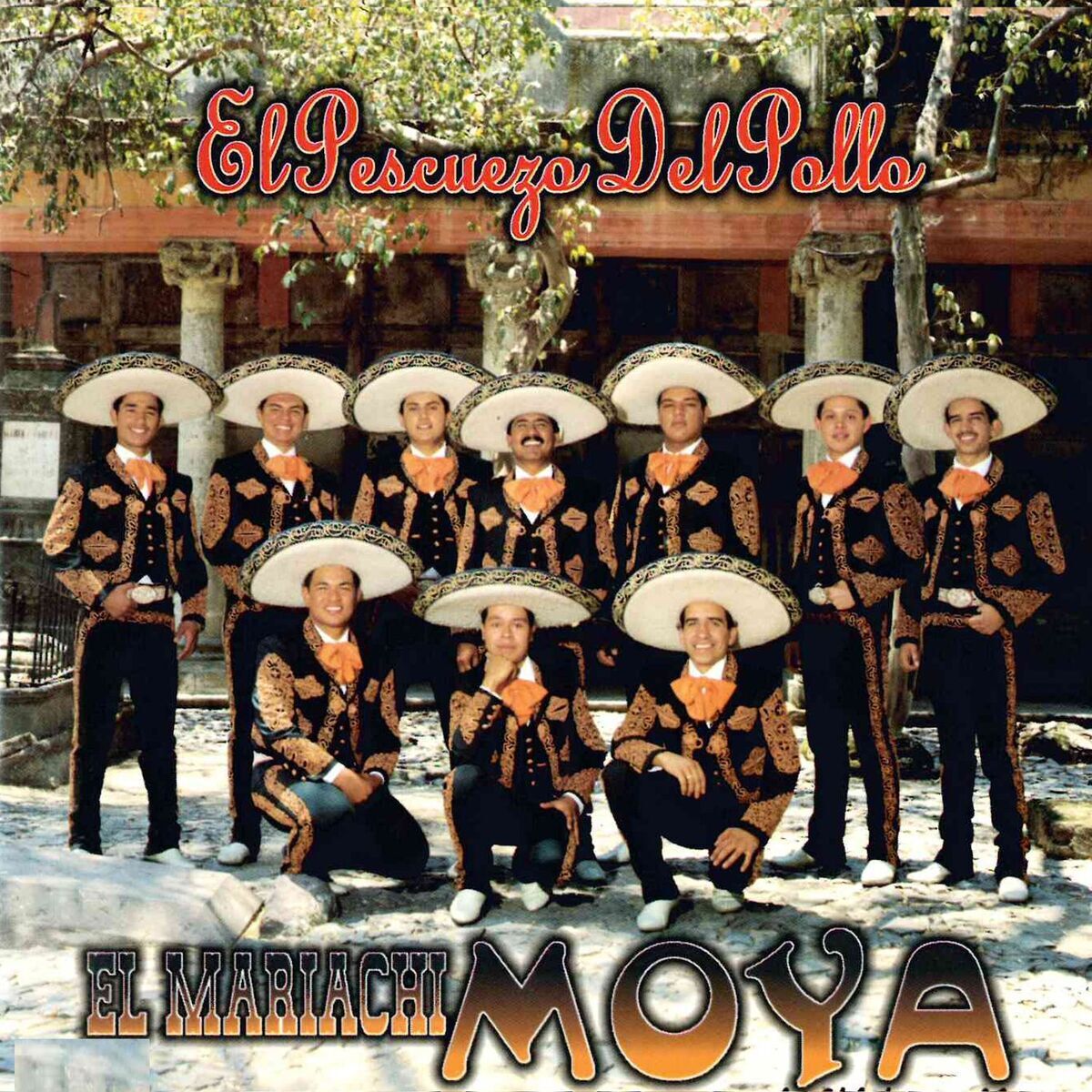 Artist picture of El Mariachi Moya