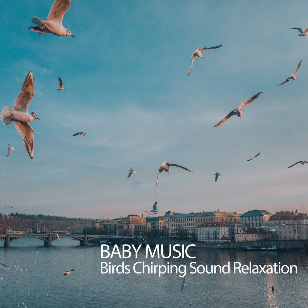 Picture of Music For Haunted Houses