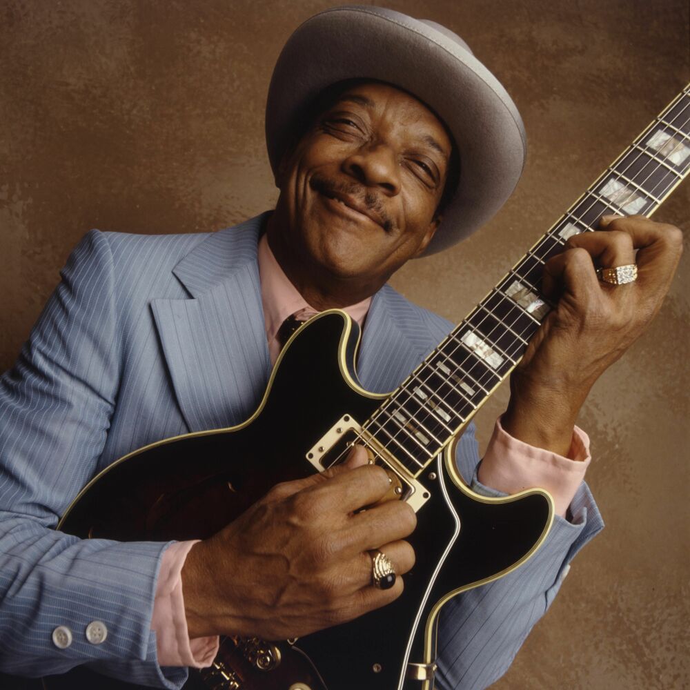 Picture of Hubert Sumlin