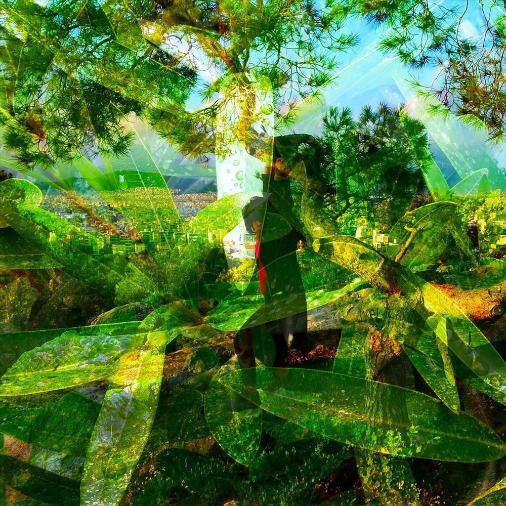 Photo de l'artiste Agile Experiments