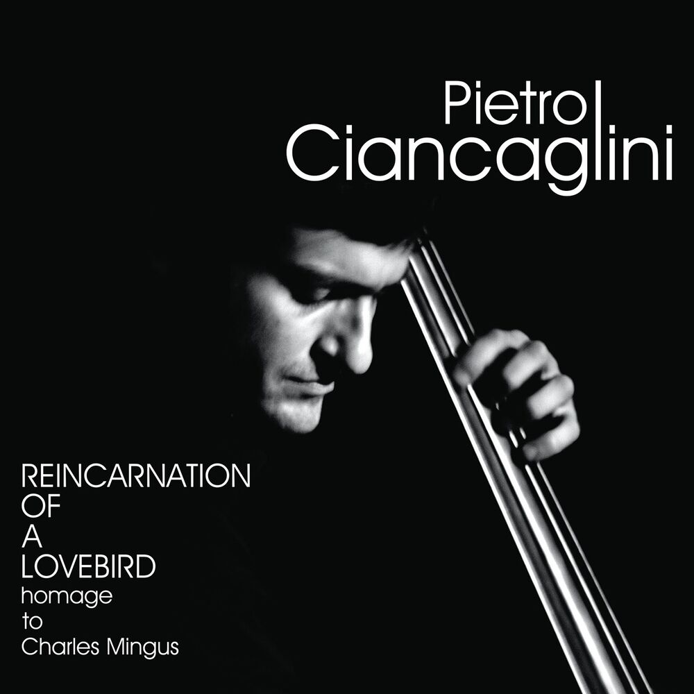 Picture of Pietro Ciancaglini