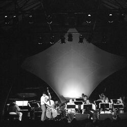 Picture of Mingus Big Band
