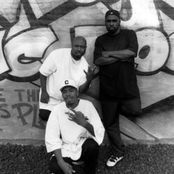 Picture of WC & The Maad Circle
