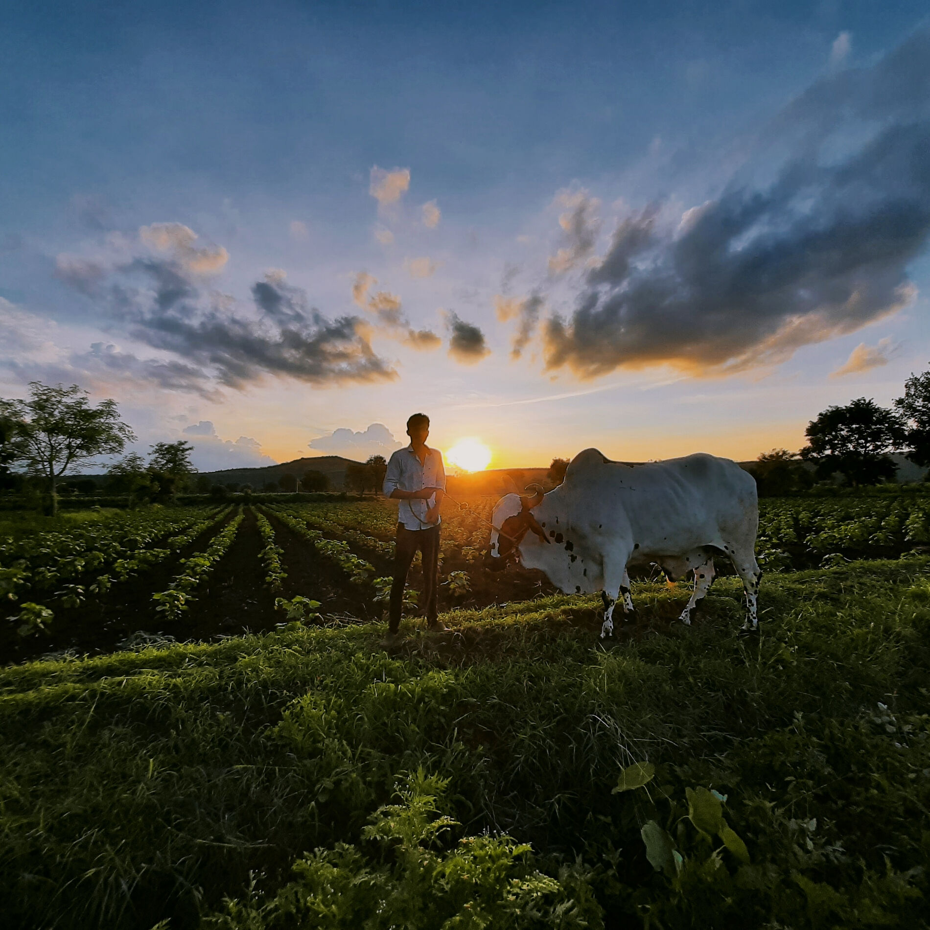 Artist picture of Thug Life