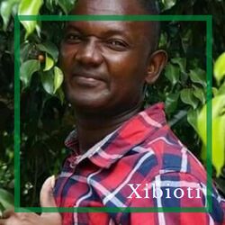 Picture of Xibioti