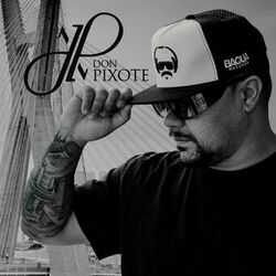 Picture of Don Pixote