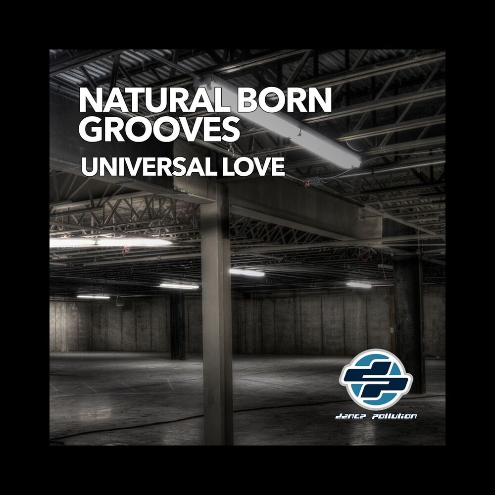 Picture of Natural Born Grooves
