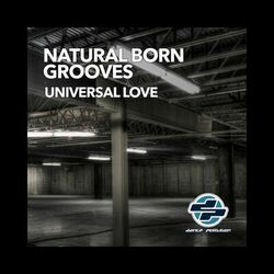 Picture of Natural Born Grooves