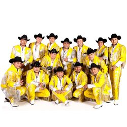 Picture of Banda Maguey