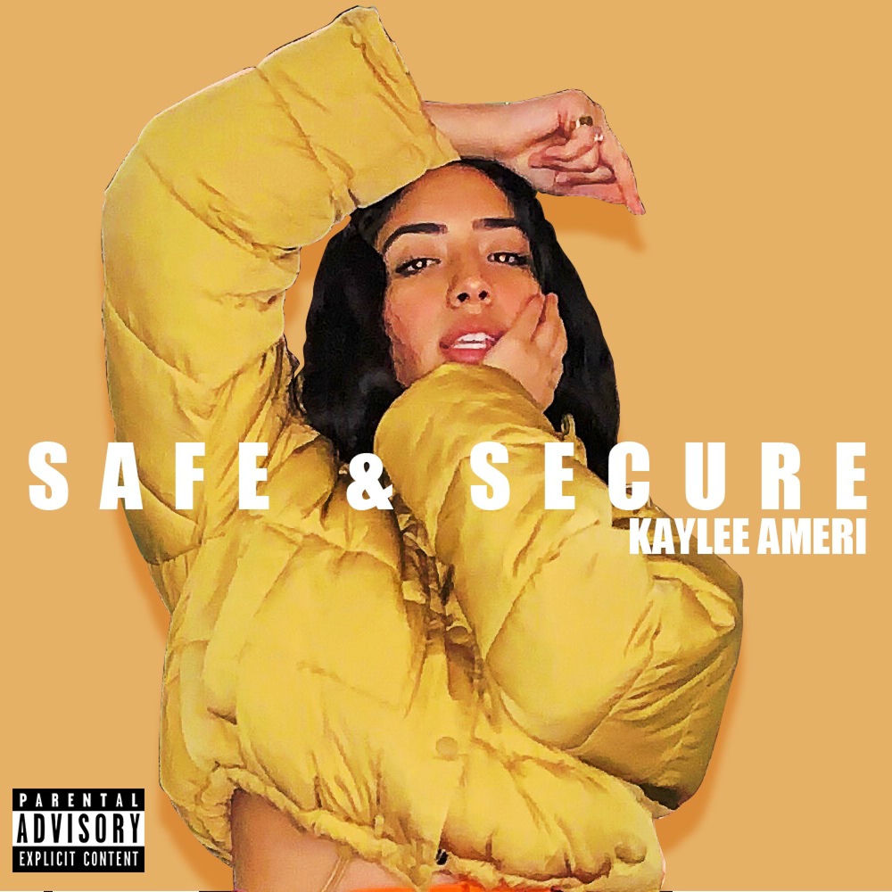 Photo de l'artiste Kaylee Ameri