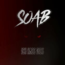Soab
