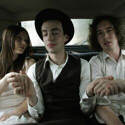 Picture of The Veils