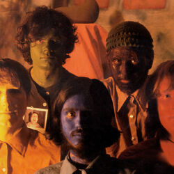 Picture of The Olivia Tremor Control