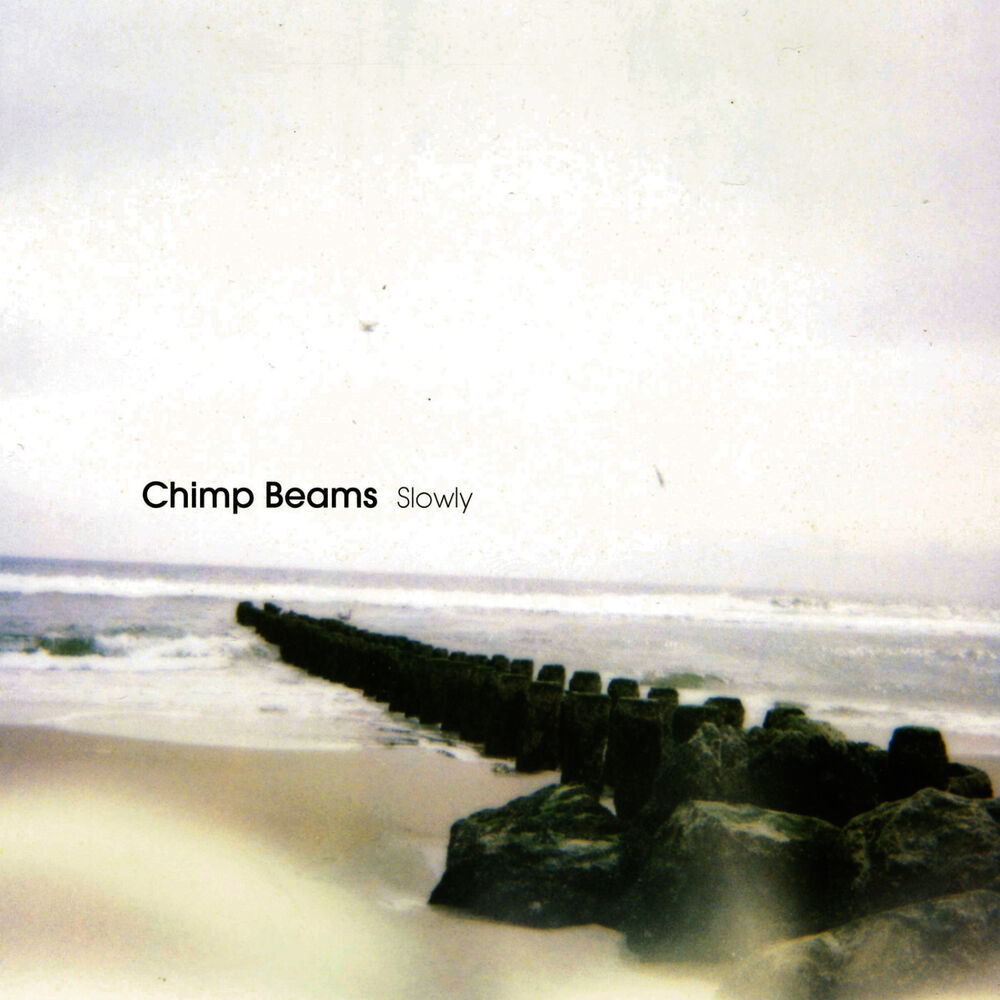 Picture of Chimp Beams