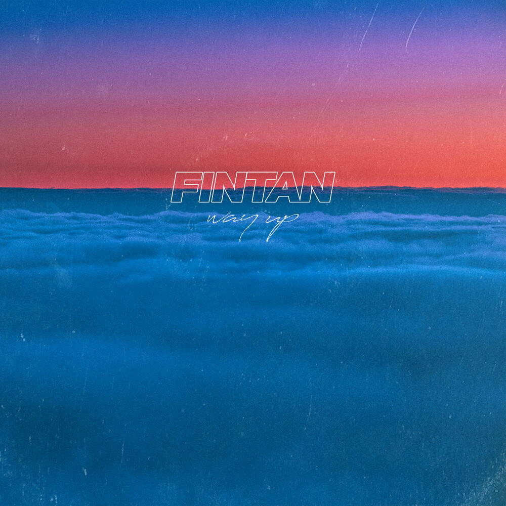 Picture of FinTan