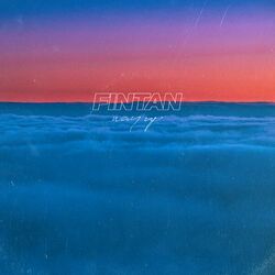 Picture of FinTan