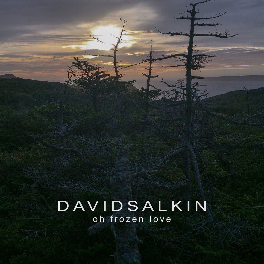 Picture of David Salkin