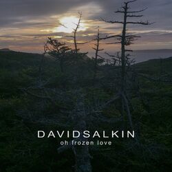 Picture of David Salkin