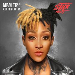 Picture of Miami Tip