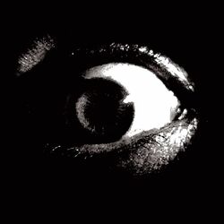 Picture of Weird Omen