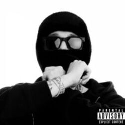 Picture of Whole Lotta Swag