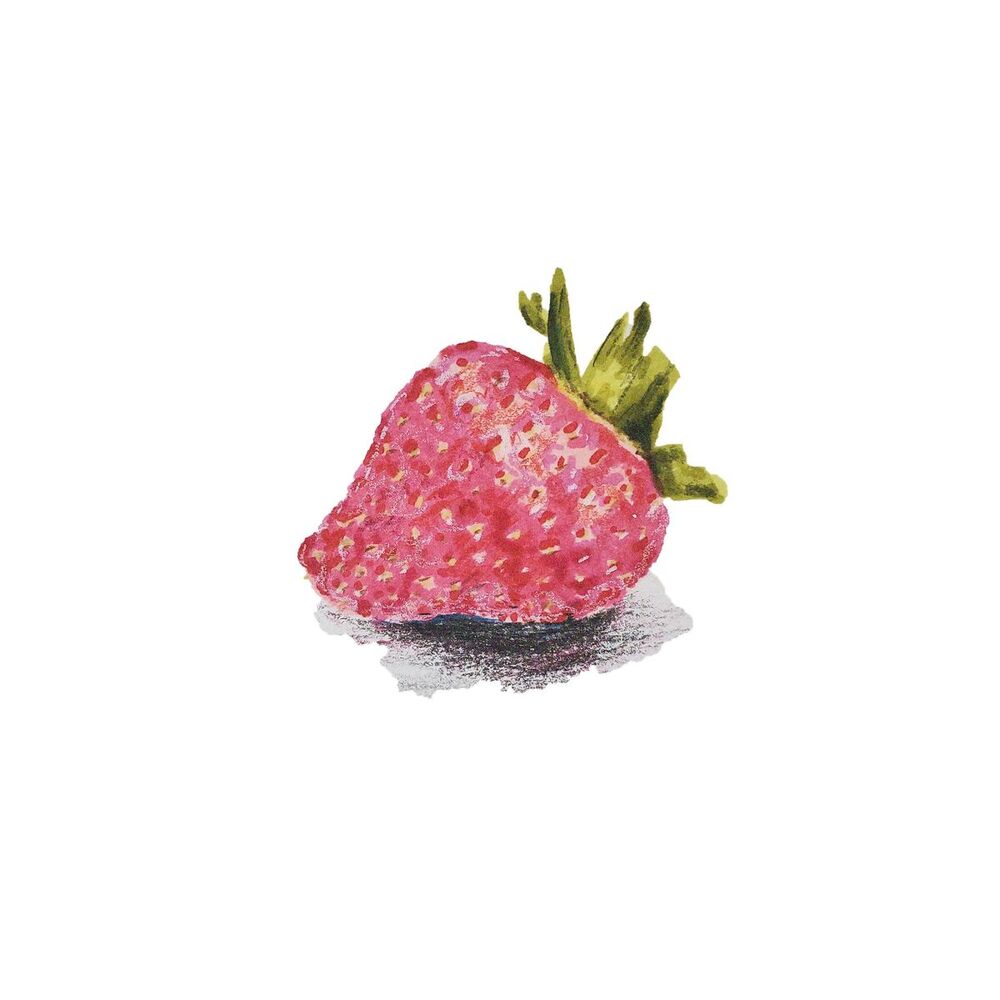 Picture of Floopy