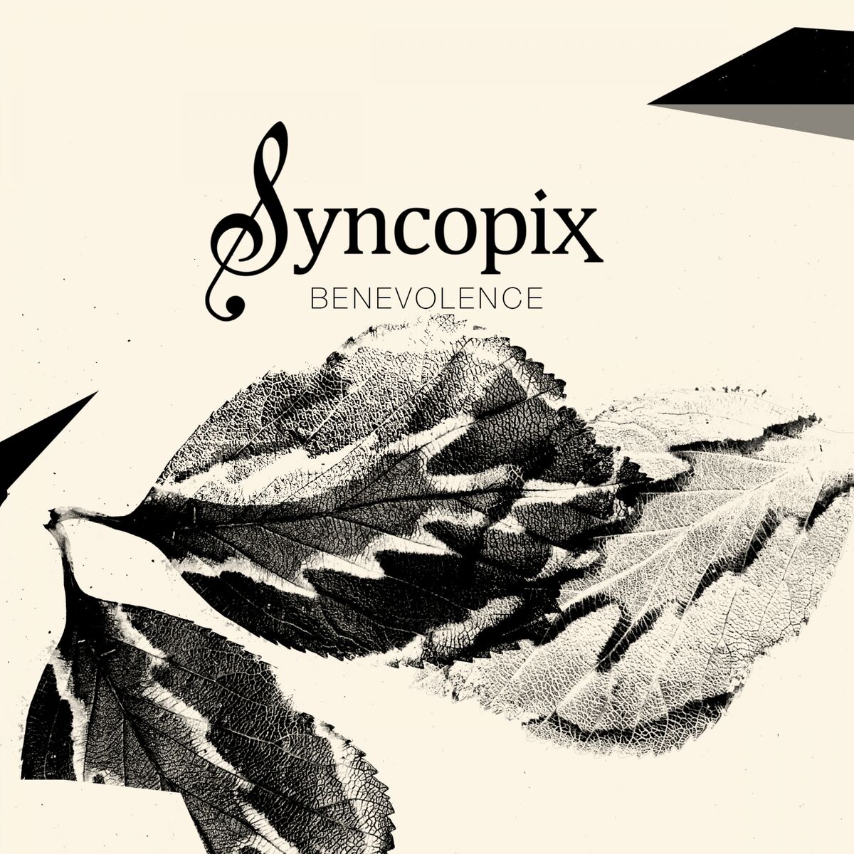 Syncopix