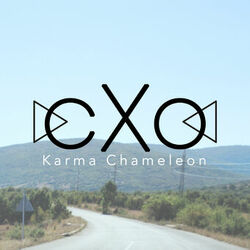 Picture of cXo