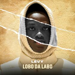 Picture of Labo Music