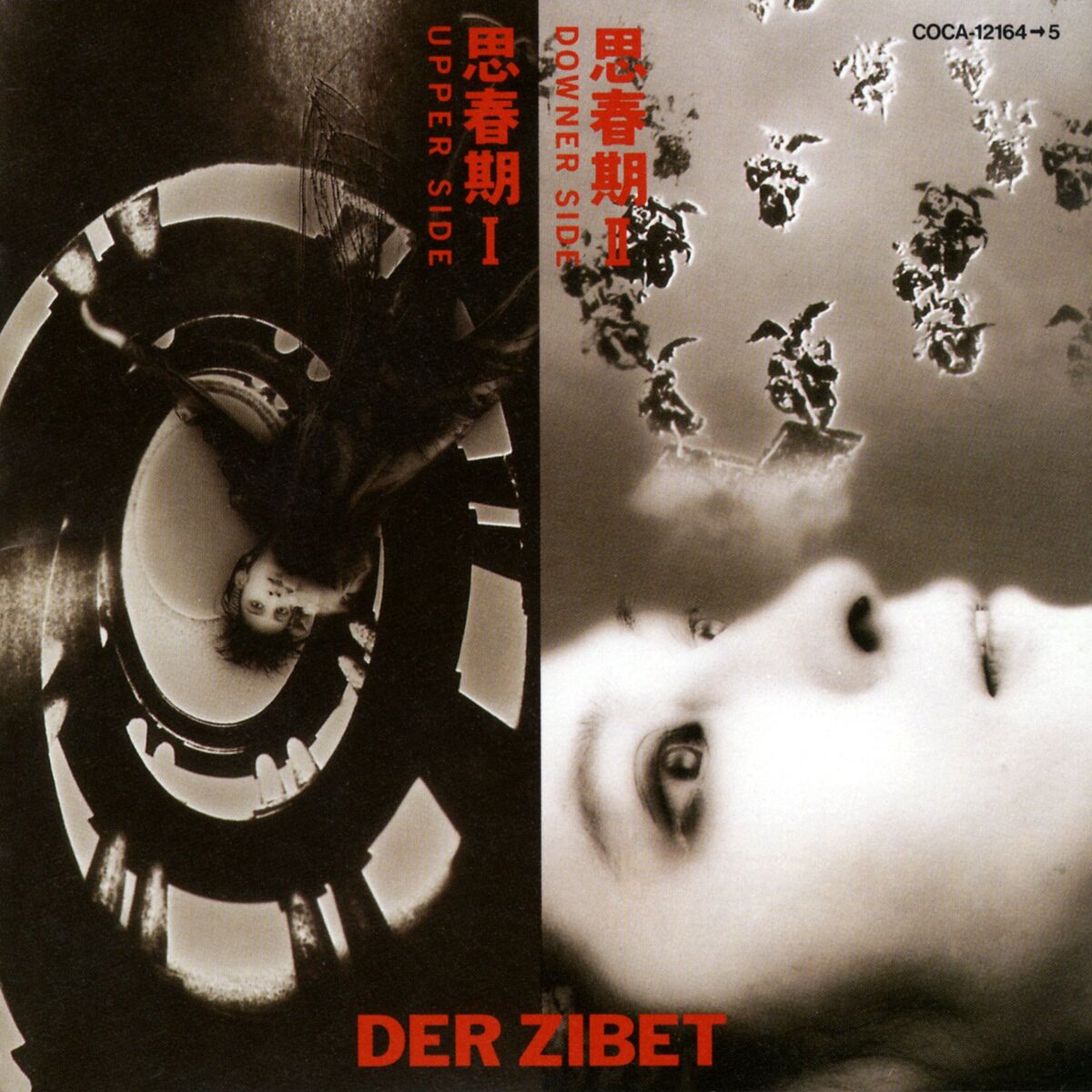 Play Primitive by Der Zibet on Amazon Music