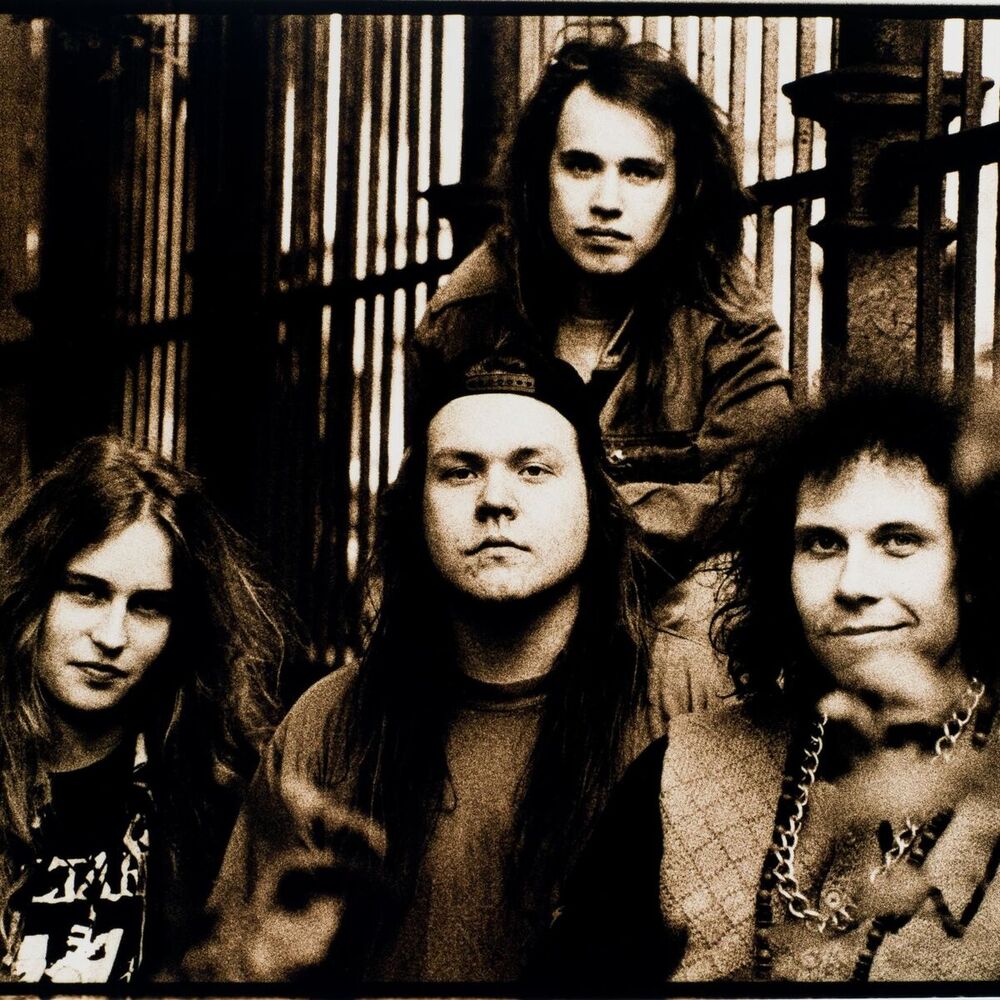 Picture of Waltari