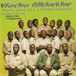 Picture of Wacha Mkhukhu