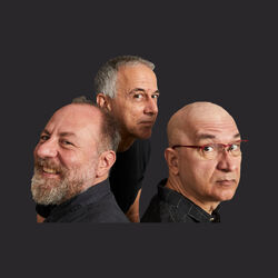 Picture of Os Paralamas do Sucesso