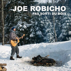 Picture of Joe Robicho