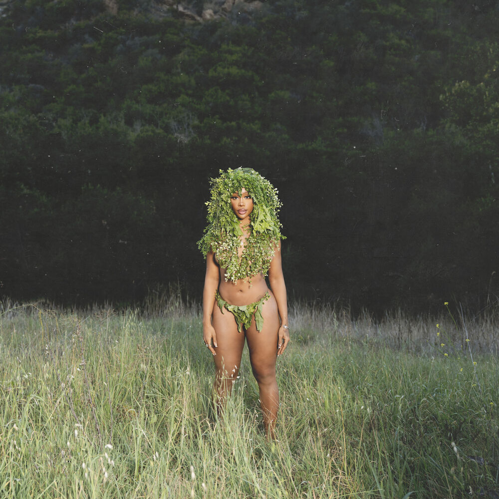 Picture of SZA
