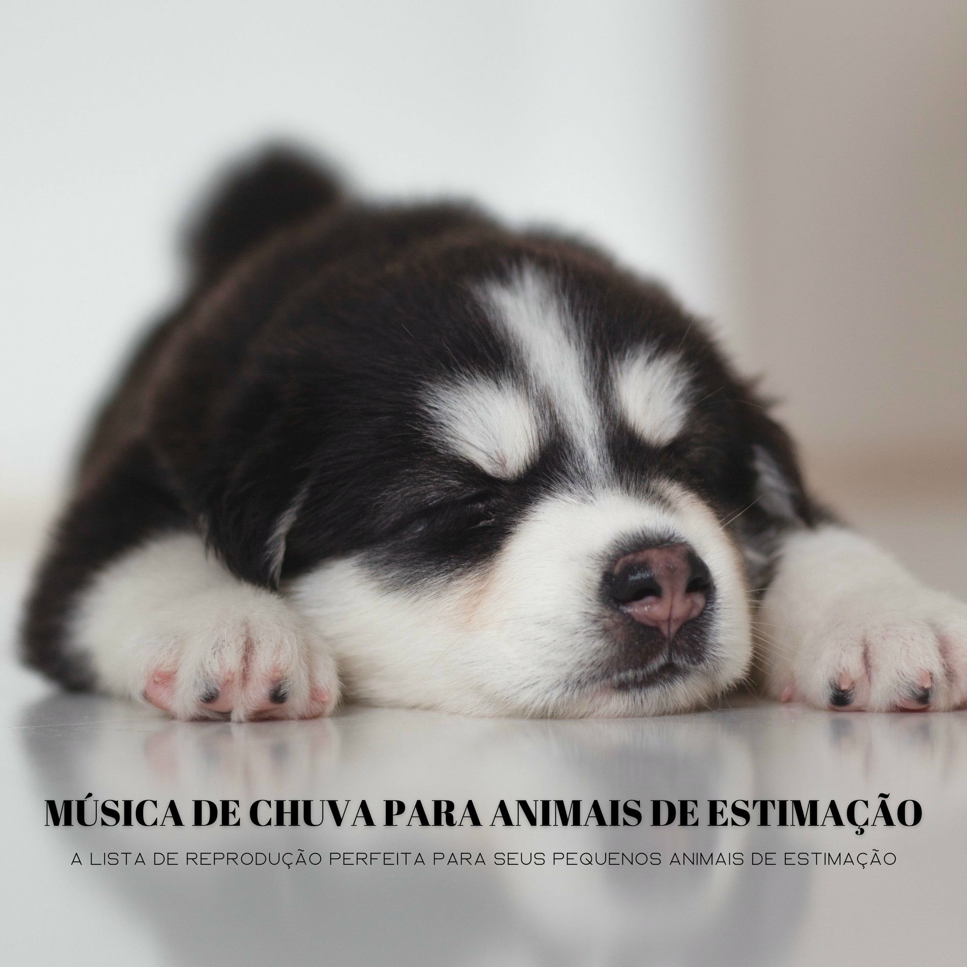 Artist picture of Música para dormir para cachorros