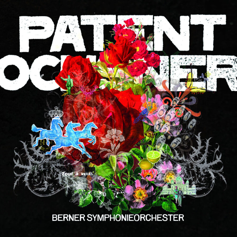 Picture of Berner Symphonieorchester