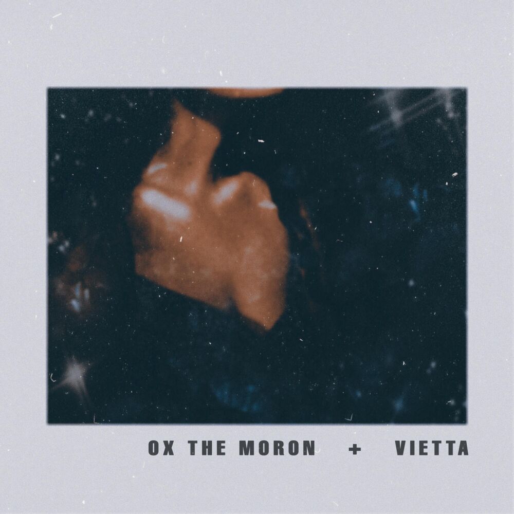 Picture of Vietta