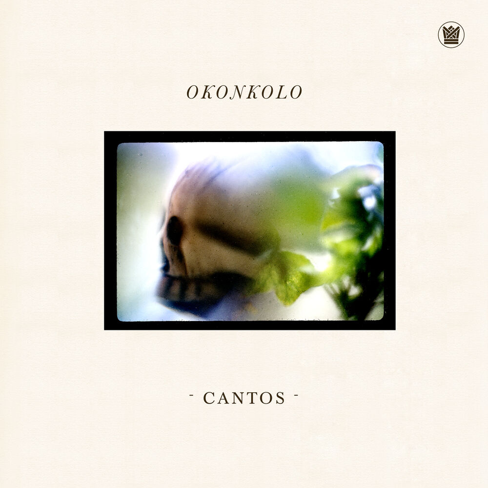 Picture of Okonkolo