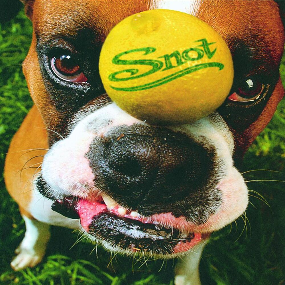 Picture of Snot