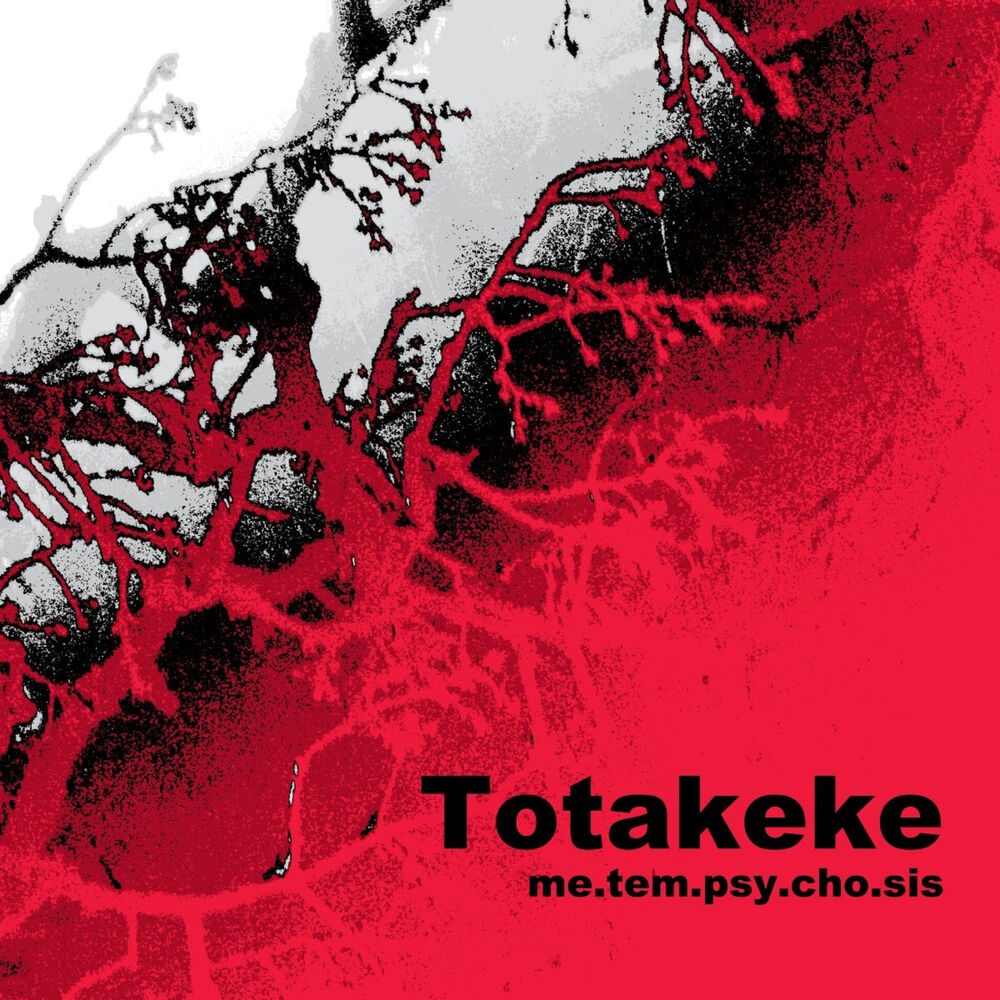 Picture of Totakeke