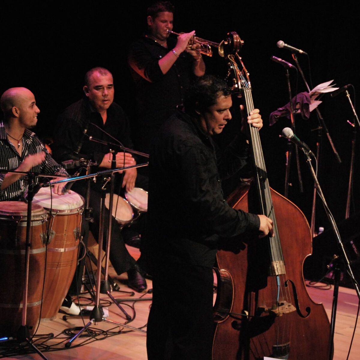 Artist picture of Jóvenes Clásicos Del Son