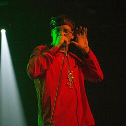 Picture of Money Boy