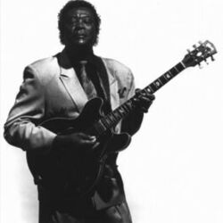 Picture of Luther "Guitar Junior" Johnson